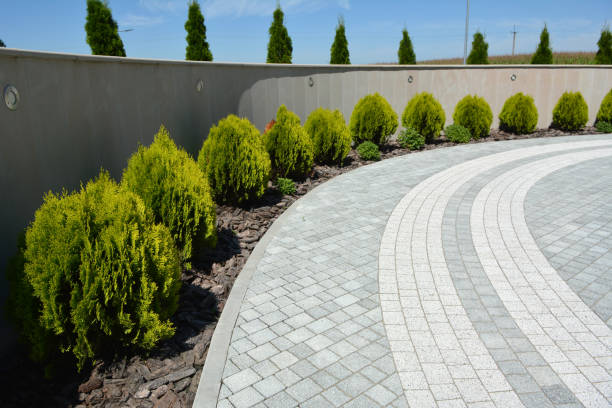 Reasons to Select Us for Your Driveway Paving Requirements in Ellenville, NY